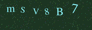 Validation image