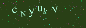 Validation image