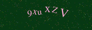 Validation image