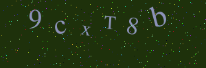 Validation image