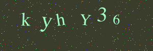 Validation image