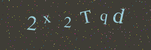 Validation image