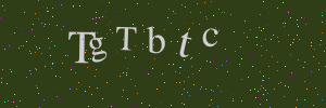 Validation image