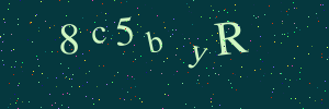 Validation image
