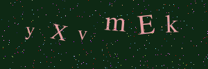 Validation image